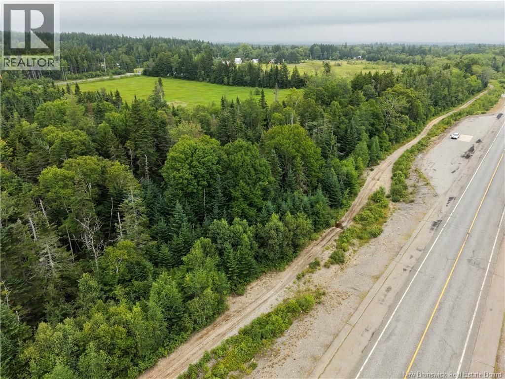 Vacant Lot 16-2 175 Route, Pennfield