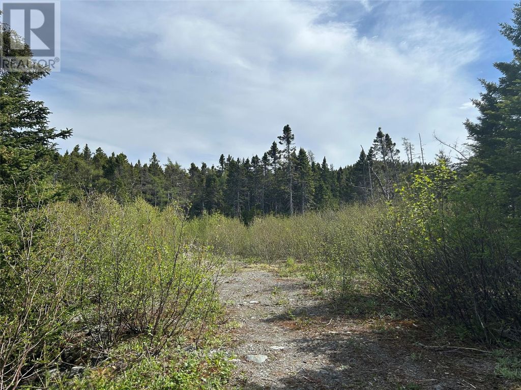 20 Ryan Road, Spaniard's Bay