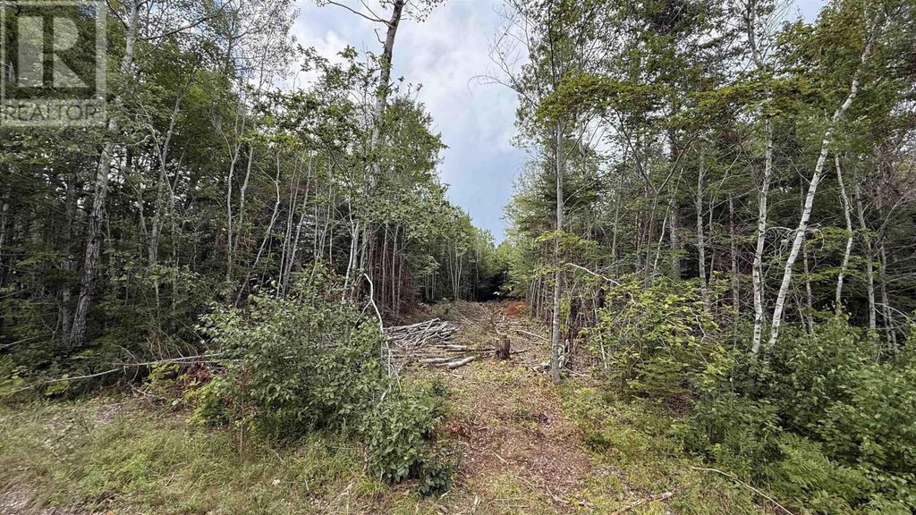 Lot S-2 Miner Meadow Road, Sunken Lake