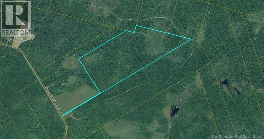 Lot Des Dallaire Road, Saint-Norbert