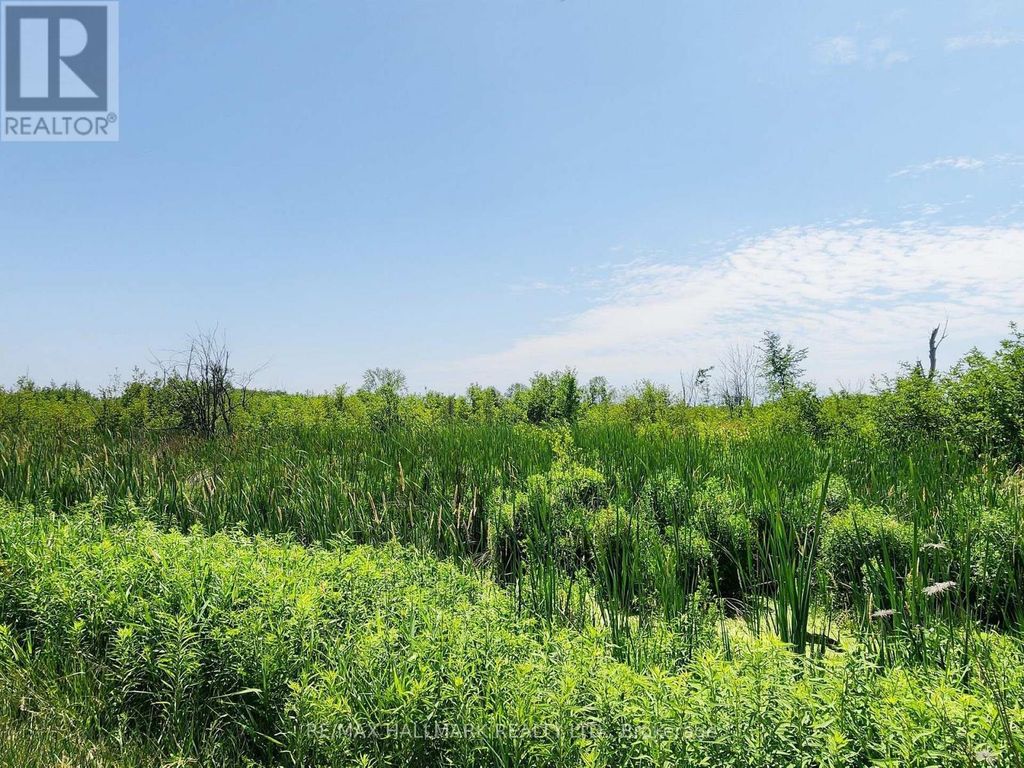 20200 Highway 48, East Gwillimbury