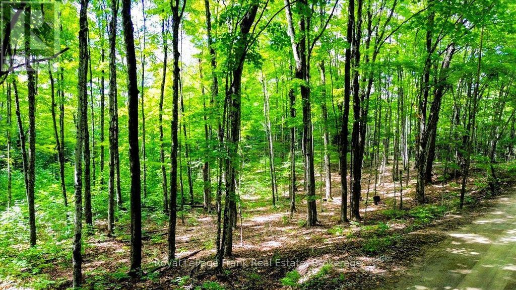 0 North Rusaw Road, North Kawartha
