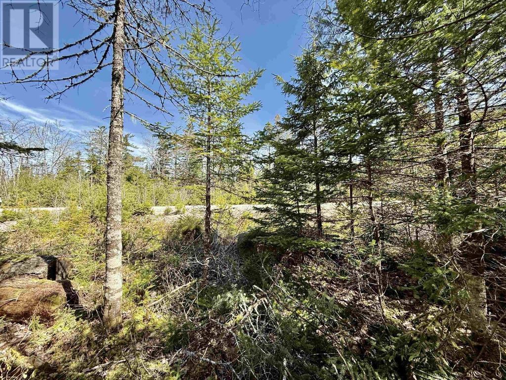 Lot 32 Dynasty Court, Sherwood
