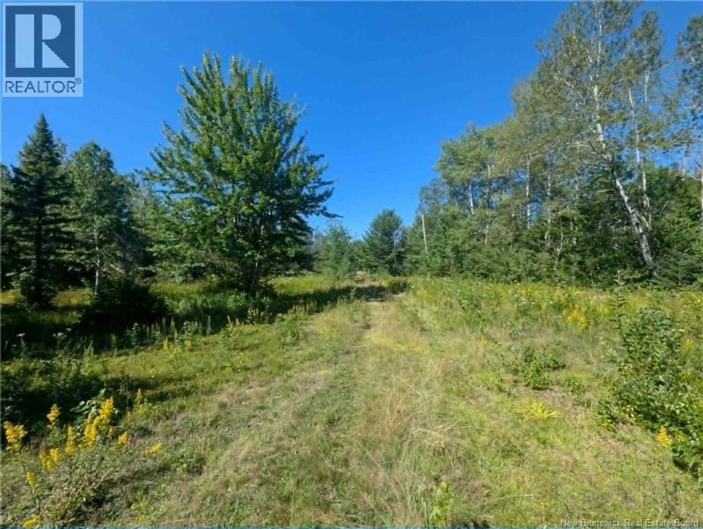 5569 Route 134, Allardville