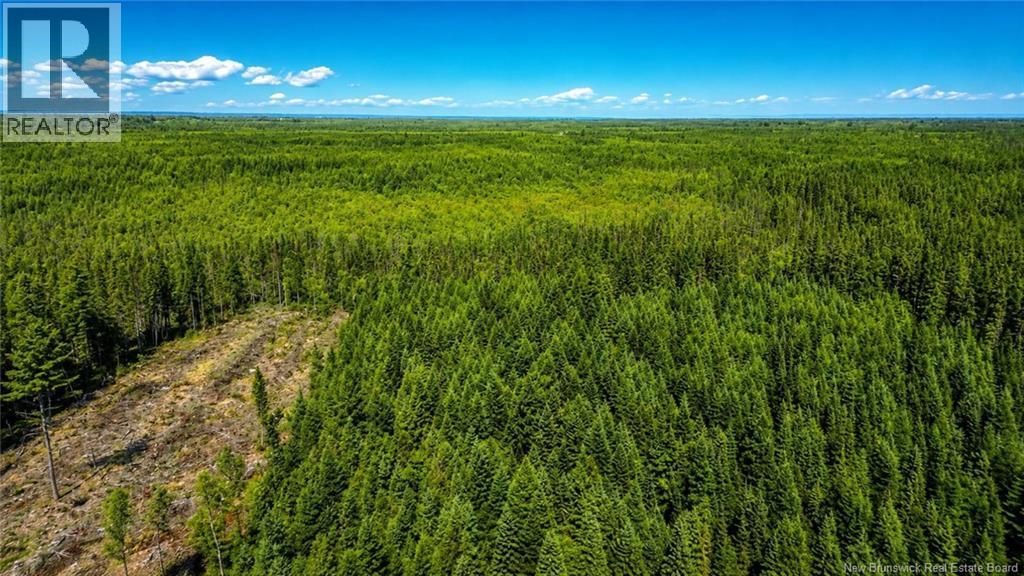 61 Coffin Road, Miramichi Road