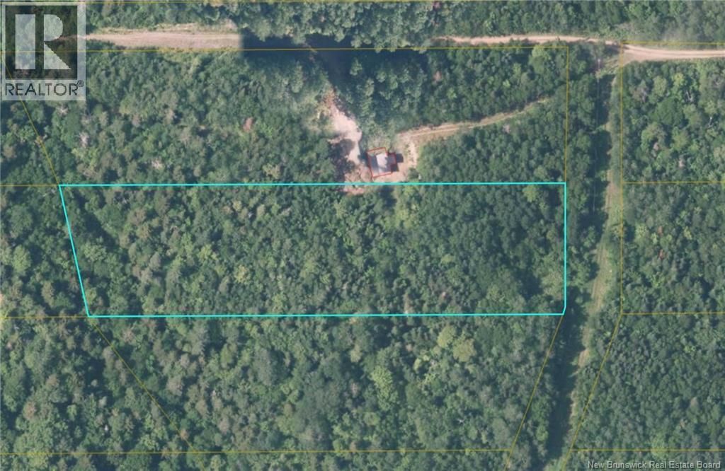 87-13 Birch Ridge Road, Arthurette