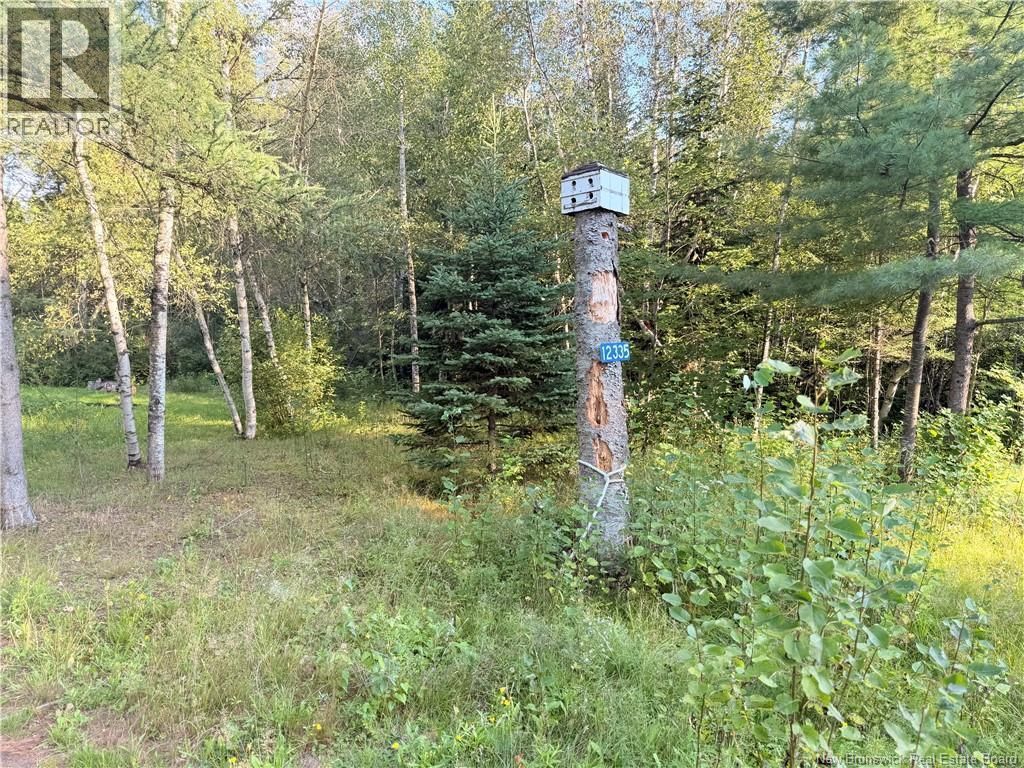 12335 Rte 126, Murray Settlement