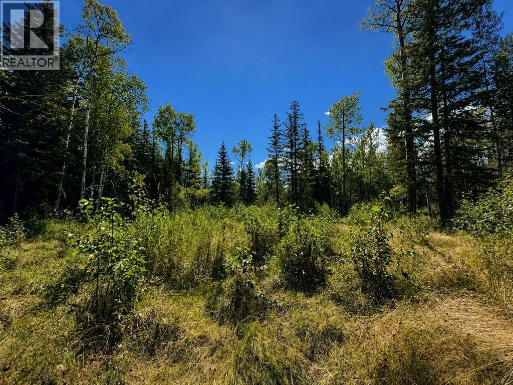 Lot 5 Airport Road, Mcbride