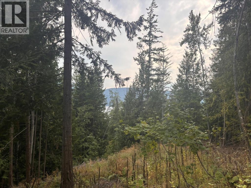 Lot 151 Columbia Drive, Anglemont