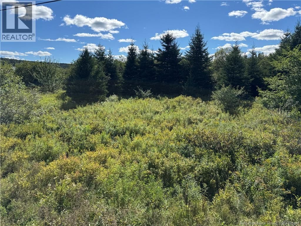 Lot Route 111, Hammondvale
