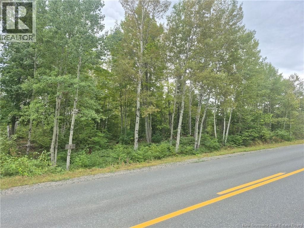 2.6 Acres Nicholas Denys, Nicholas Denys