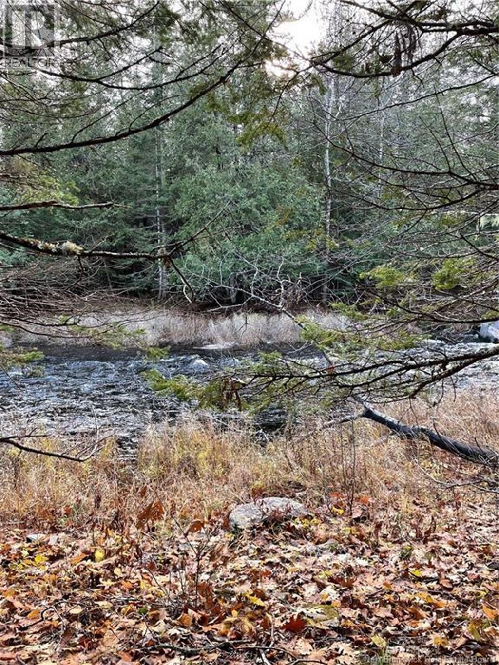 519 Route 725, Little Ridge