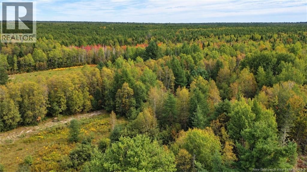 Lot Weldfield-collette Road, Napan