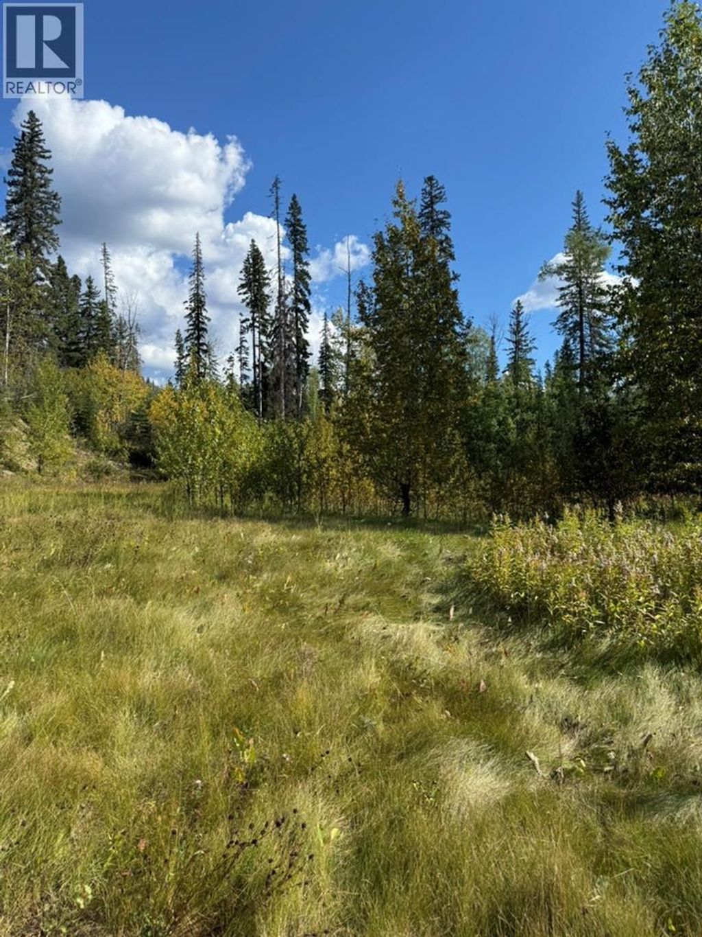111 Kinuseo Avenue, Tumbler Ridge