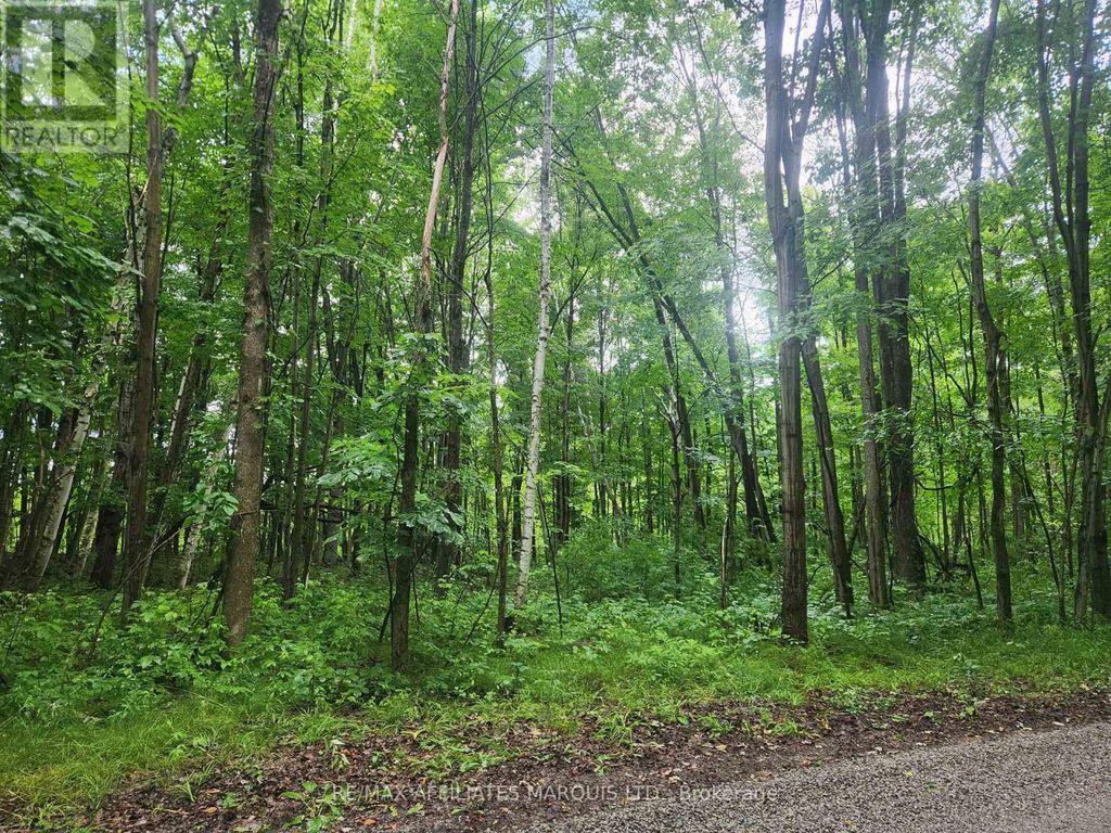 000 Cedar Sands Road Way, Rideau Lakes