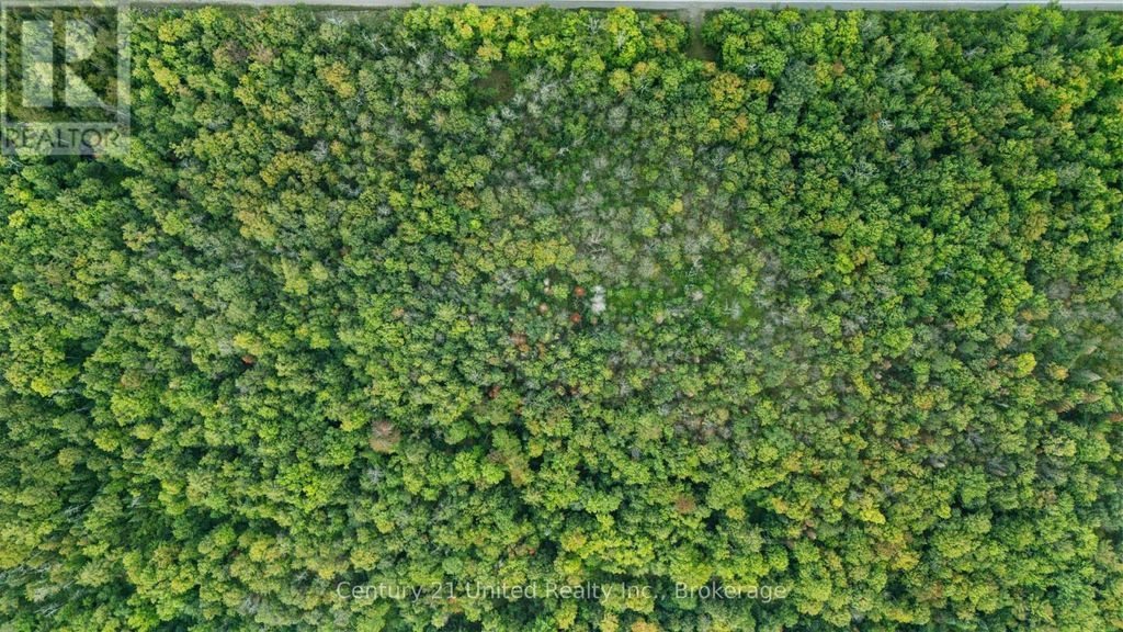 456 County Road 620, North Kawartha