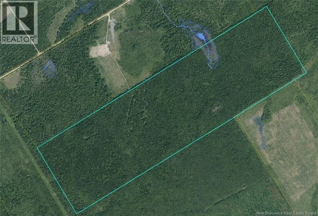 Woodlot 8 Route 126, Adamsville
