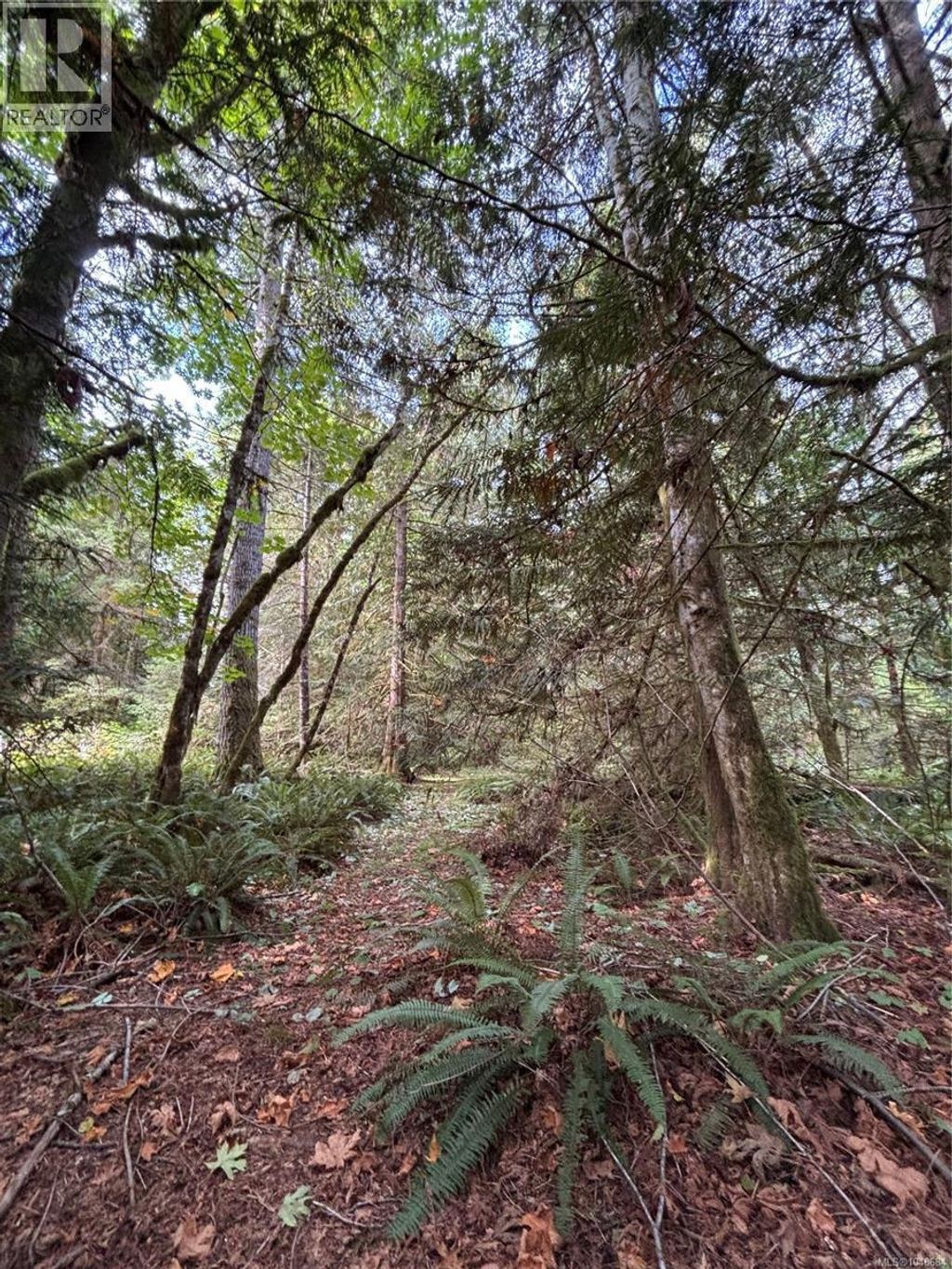 Lot 23 Pratt Rd, Errington