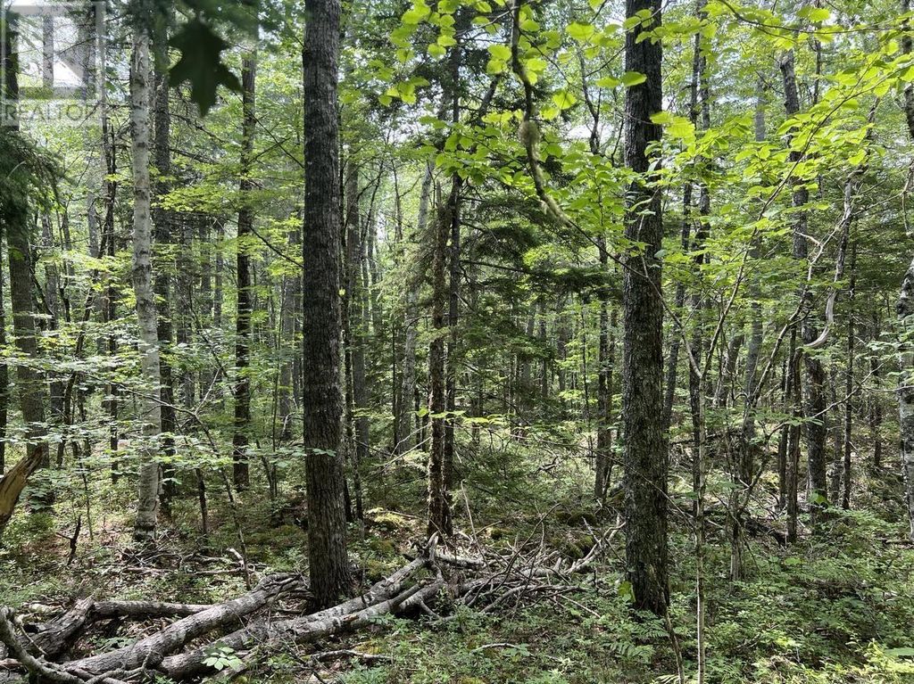 Lot 17 Pine Island Drive, Labelle