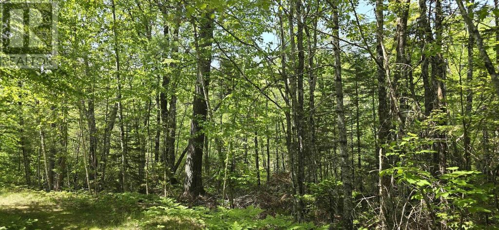 Lot 176a Spruce Drive, Hemford