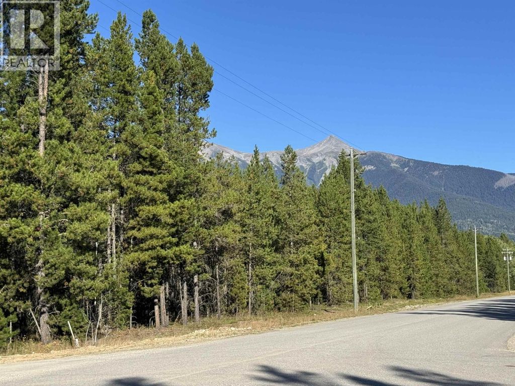 1250 17th Avenue, Valemount