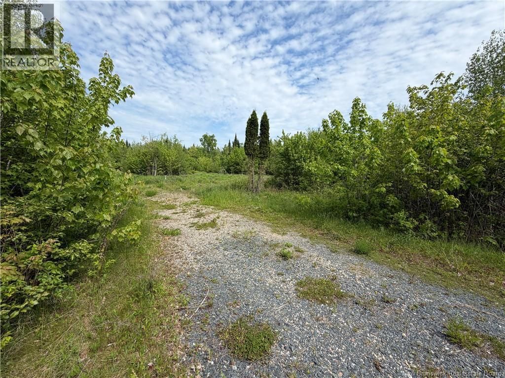 225 South Black River Road, Black River Bridge