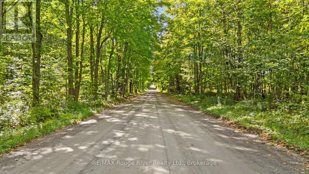 1321 Crowe River Road N, Trent Hills