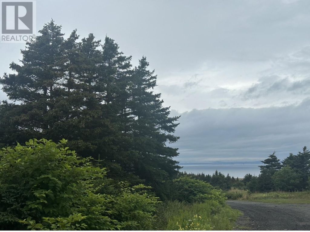 0 Back Road, Bell Island