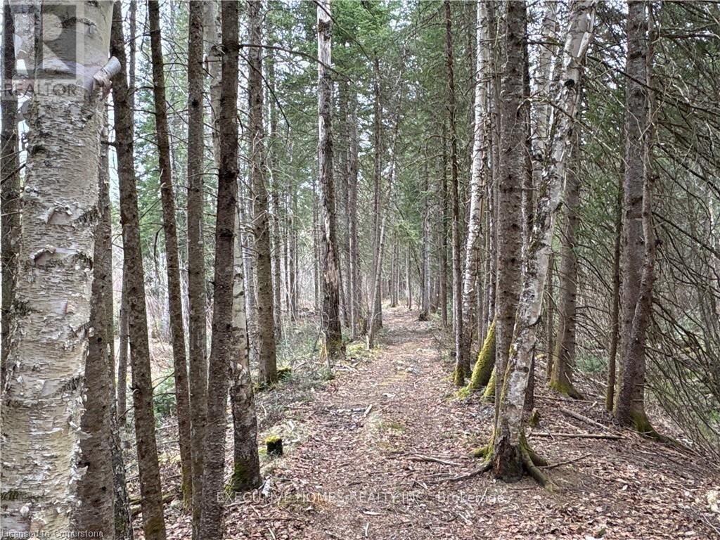 1014 Bulrush Trail, Highlands East (glamorgan)