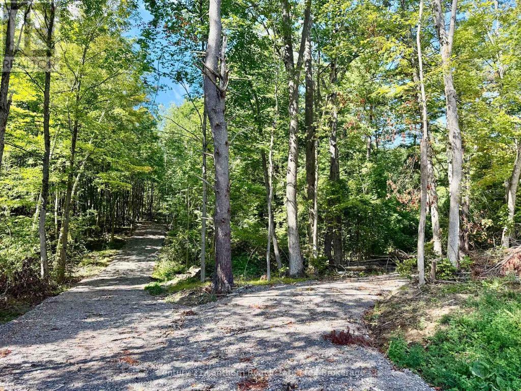 00 North Lot Highway 62, Madoc