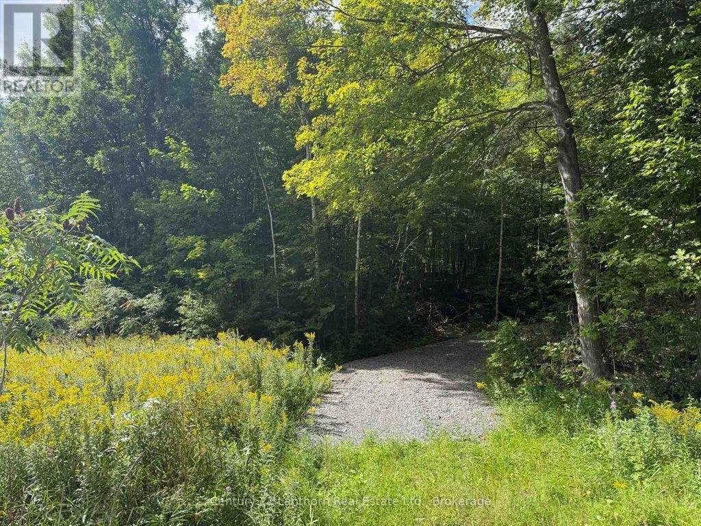 00 South Lot Highway 62, Madoc