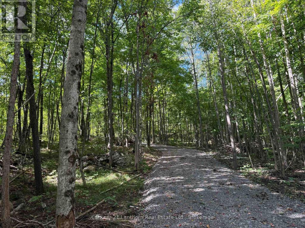 00 Middle Lot Highway 62, Madoc