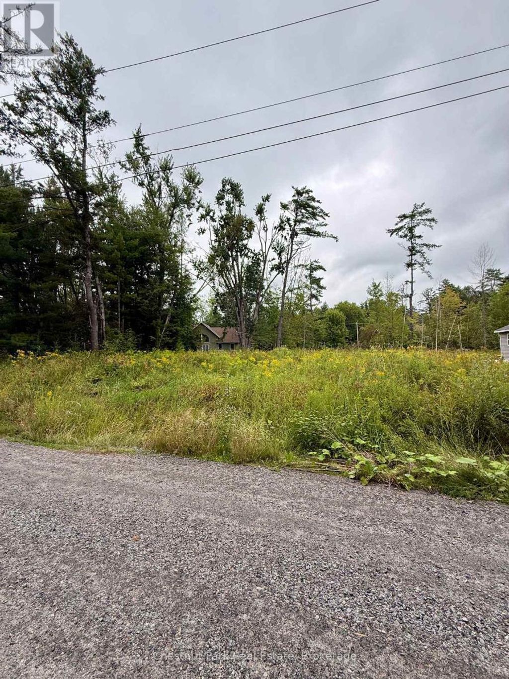 1006 Chippawa Avenue, Gravenhurst (muskoka (s))