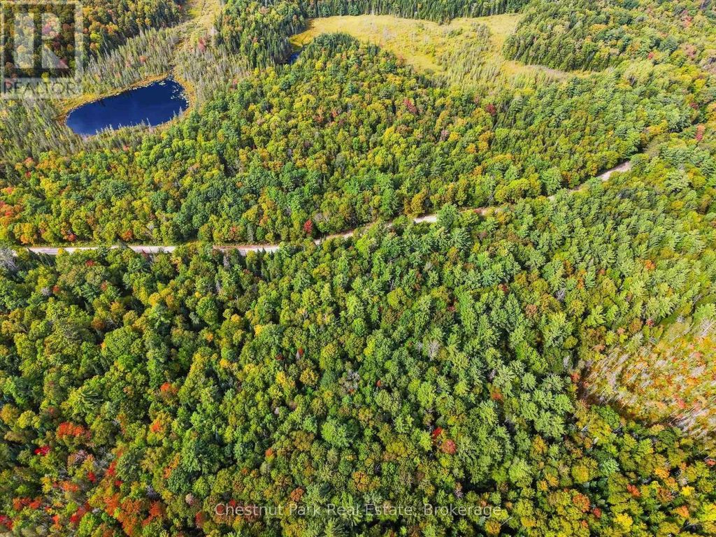 00 Paint Lake Road, Lake Of Bays (ridout)