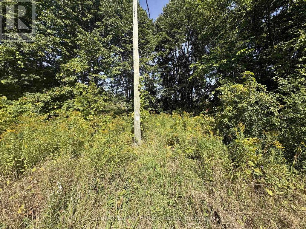 00 Ingham Road (lot 2 - East), Alnwick/haldimand