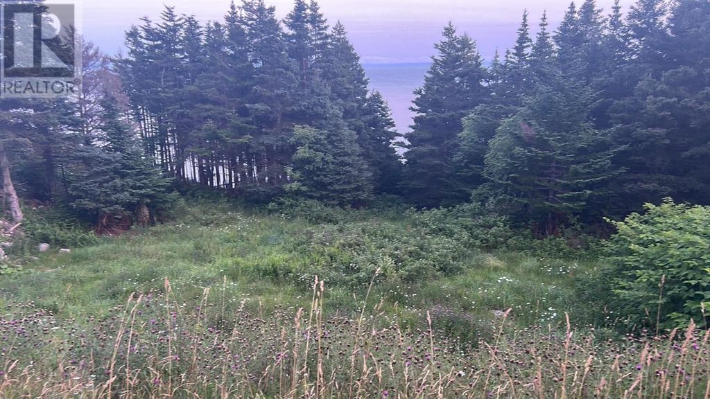 485 Oceanview Drive, Cape St. George