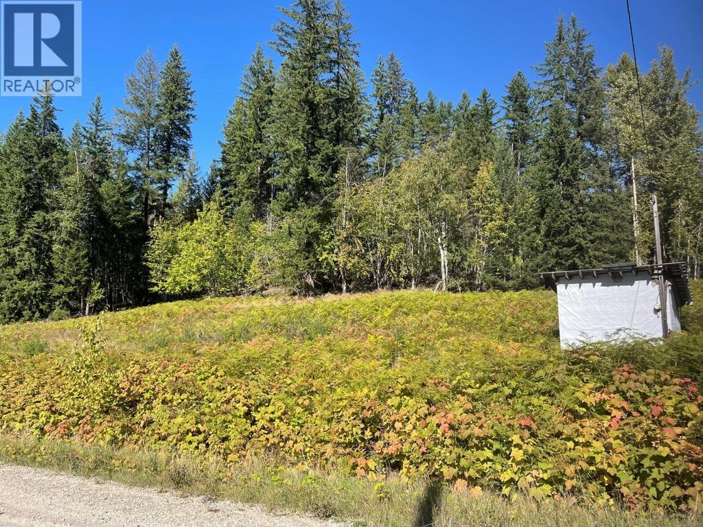 Lot 77 Bartley Road, Nakusp