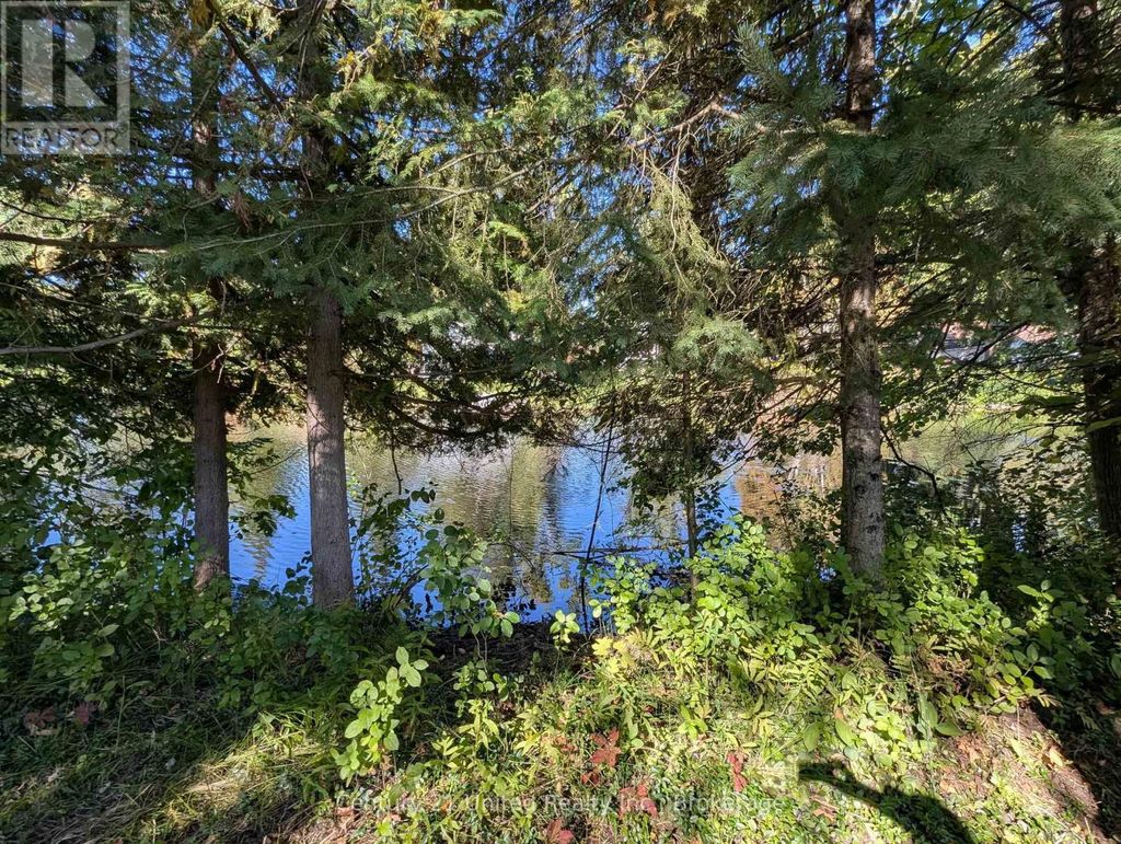 63 Fire Route 104, Kawartha Lakes (bobcaygeon)