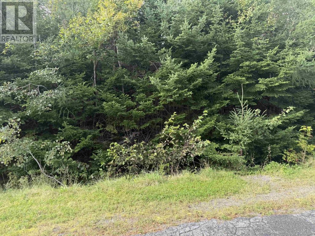 Lot 11 Schaller Drive, Sydney Forks