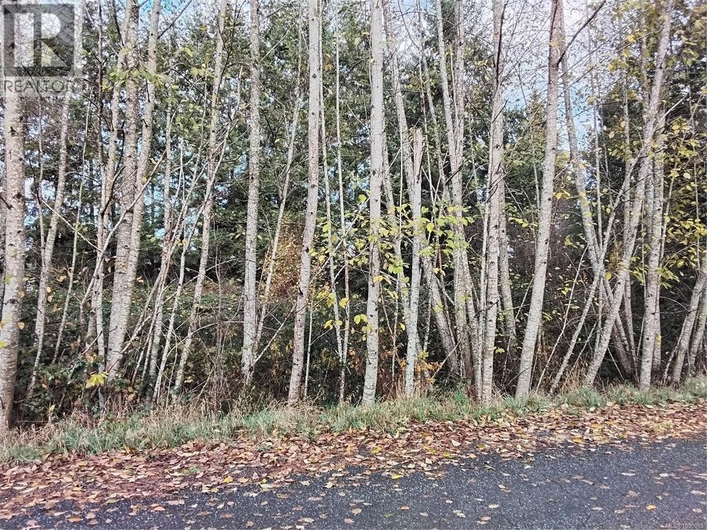 Lot E Tatton Rd, Courtenay