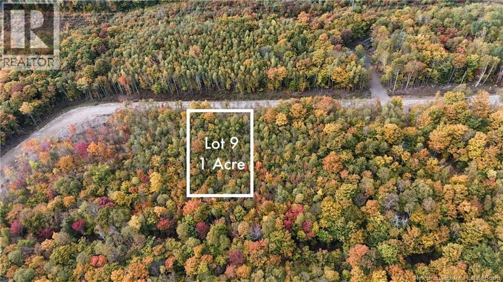 Lot 9 Raven Ridge Road, Central Hainesville