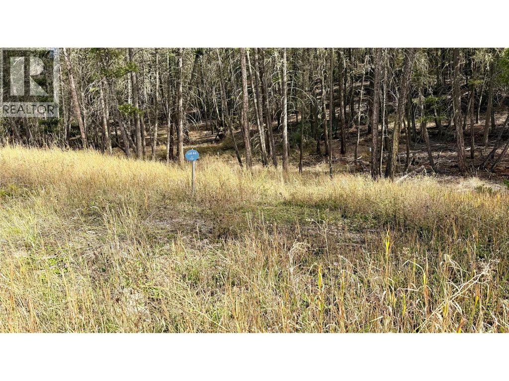 Lot 44 Mountain View Drive, Fairmont Hot Springs