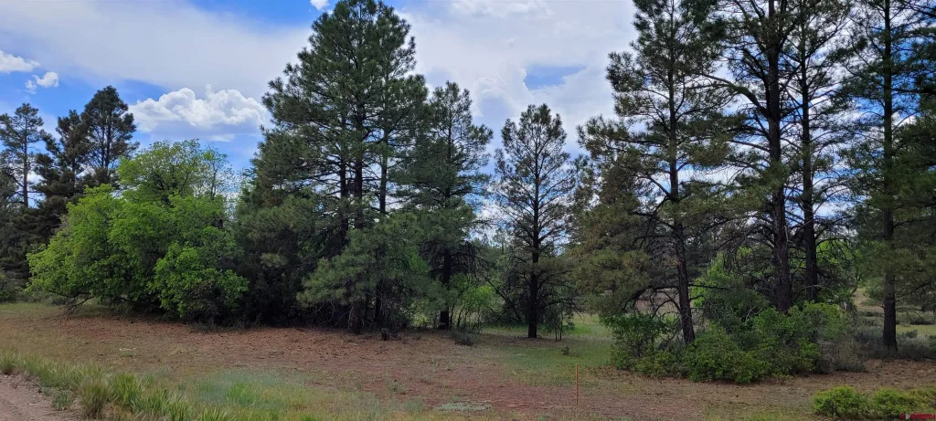 30 High Drive, Pagosa Springs