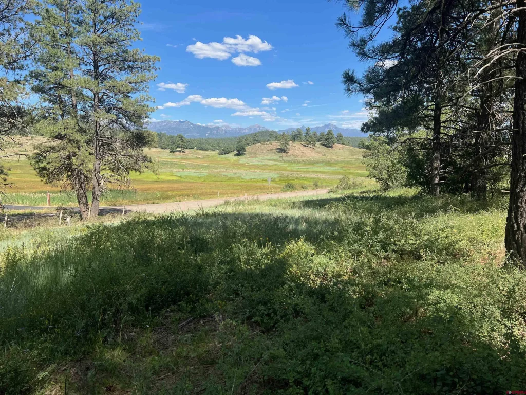 Tbd County Road 400, Pagosa Springs