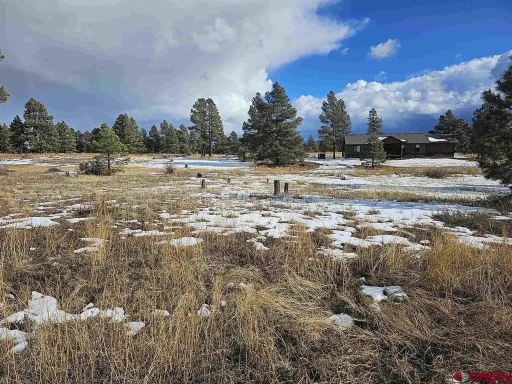 335 Domicile Circle, Pagosa Springs