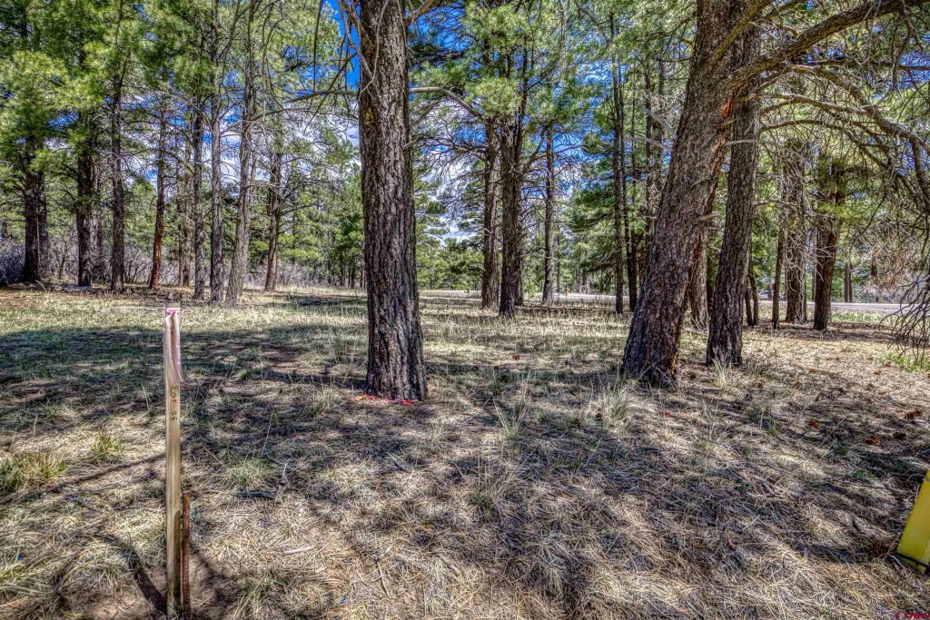 824 Antelope Avenue, Pagosa Springs
