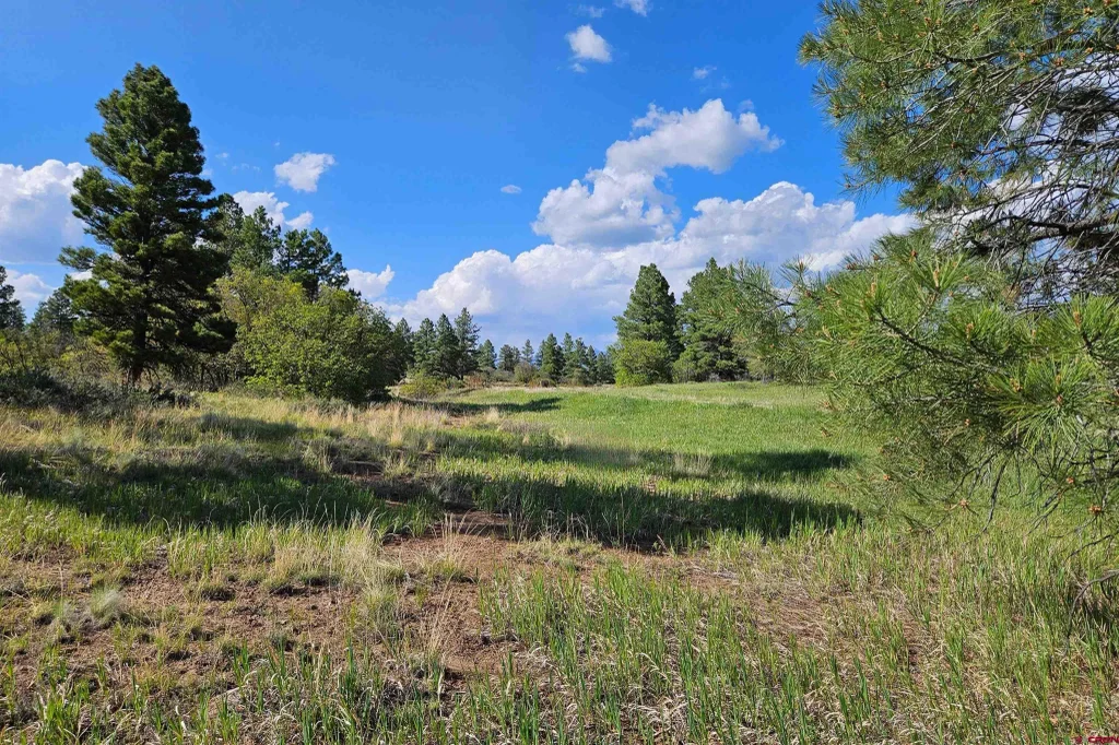 1305 Trails Boulevard, Pagosa Springs