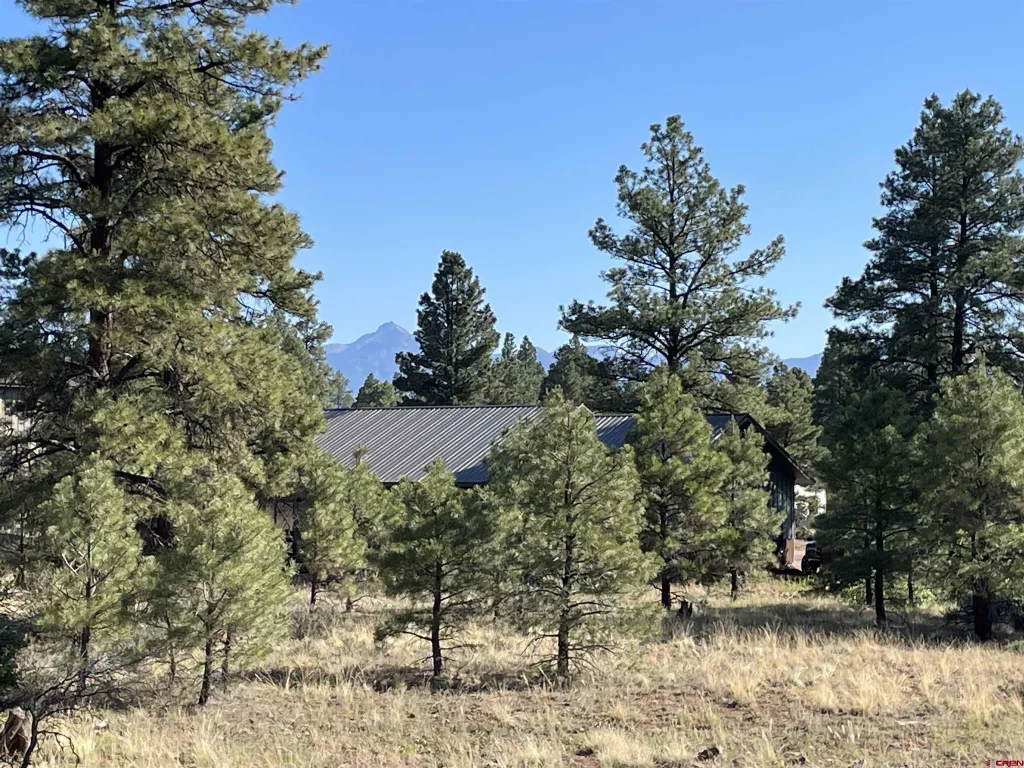 29 Monastery Court, Pagosa Springs