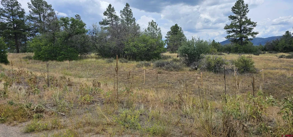 19 E Crescent Court, Pagosa Springs