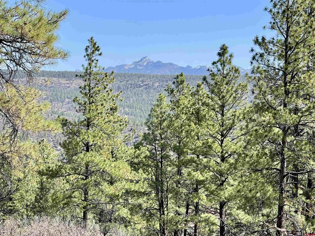 252 Starlight Place, Pagosa Springs